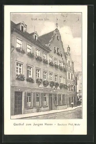 AK Ulm / Donau, Gasthof Zum jungen Hasen von Phil. Mohr