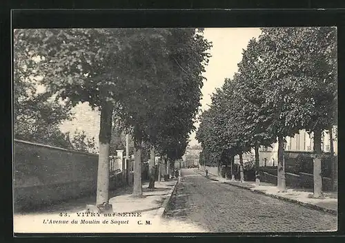 AK Vitry-sur-Seine, l'Avenue du Moulin de Saquet