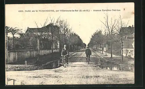 AK Villeneuve-le-Roi, Parc de la Faisanderie, Avenue Caroline-Therese