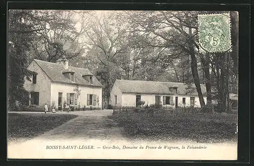 AK Boissy-Saint-Leger, Gros-Bois, Domaine du Prince de Wagram, la Faisanderie