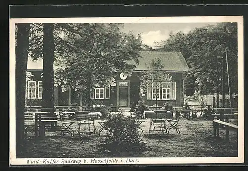 AK Hasselfelde / Harz, Gasthaus Radeweg