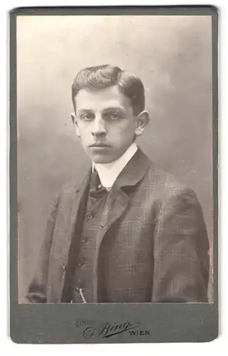 Fotografie Sigmund Bing, Wien, Goldschmidgasse 4, Portrait junger Herr im Anzug mit Krawatte