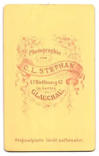 Fotografie C. L. Stephan, Glauchau, Hoffnung 47, Portrait junger Herr in modischer Kleidung