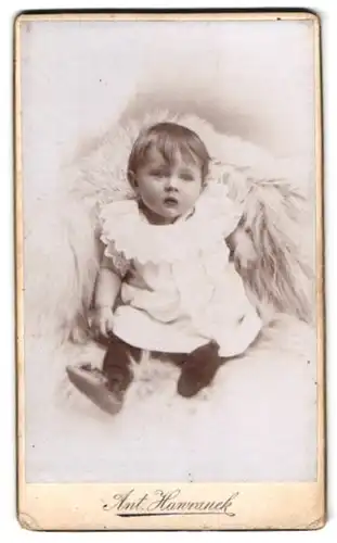 Fotografie Ant. Hanranek, Mähr. Ostrau, Kirchengasse 20, Kleinkind in Kleidchen mit Spitzenüberwurf sitzt auf Fell
