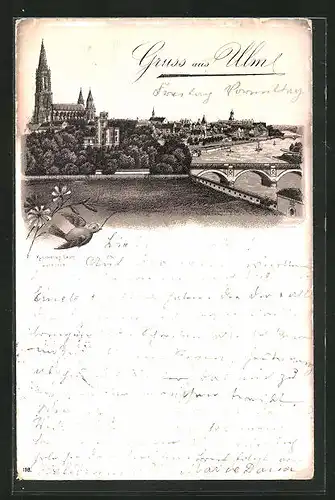 Lithographie Ulm, Flusspartie mit Münster