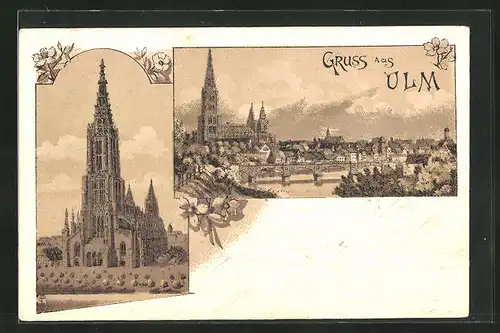 Lithographie Ulm, Totalansicht mit Münster