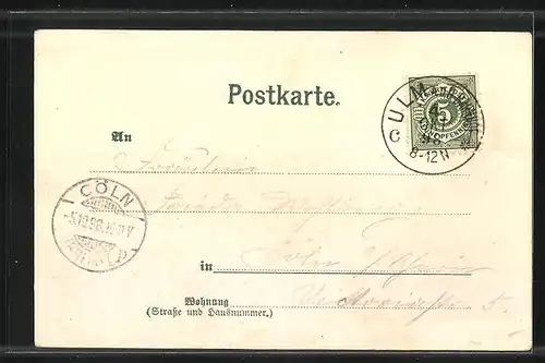 Lithographie Ulm, Totalansicht mit Münster