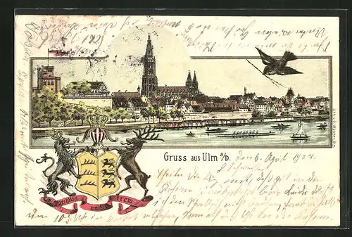 Lithographie Ulm, Totalansicht mit Donau, Wappen