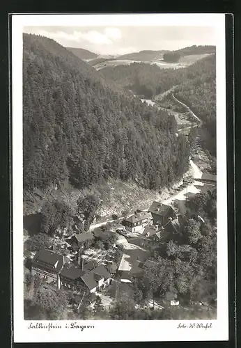 AK Falkenstein, Ortspartie im Gebirge