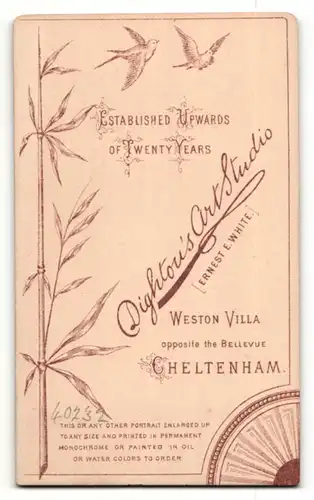 Fotografie R. Dighton, Cheltenham, Portrait junge Dame im modischen Kleid mit Kragenbrosche