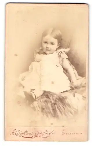 Fotografie R. Dightou, Cheltenham, Portrait süsses kleines Mädchen im weissen Rüschenkleidchen