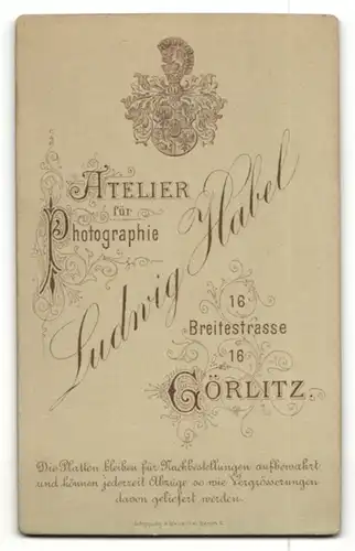 Fotografie Ludwih Habel, Görlitz, Portrait stattlicher Herr mit Schnurrbart
