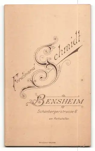 Fotografie Ferdinand Schmidt, Bensheim, Mann mit Krawatte und Oberlipppenbart