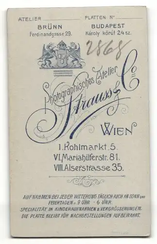 Fotografie Strauss & Co., Wien, Portrait charmanter Herr im Anzug mit Krawatte und Schnurrbart