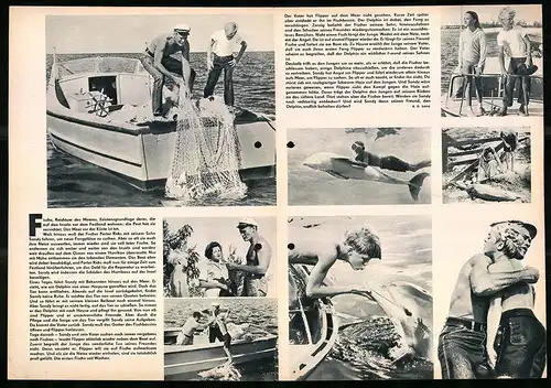 Filmprogramm PFP Nr. 53 /65, Flipper, Chuck Connors, Luke Halpin, Regie: James B. Clark