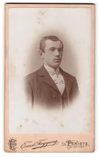 Fotografie Ernst Freygang, Penig i. S., Portrait junger Herr im Anzug mit Krawatte