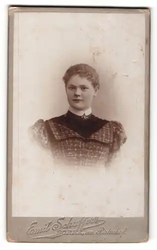 Fotografie Emil Schaffert, Borna i. Sa., Portrait junge Frau lächelns in edler Bluse