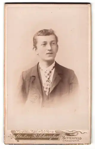 Fotografie R. Schwarzbach, Bitterfeld, Portrait niedlicher Bube in karierter Krawatte