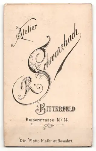 Fotografie R. Schwarzbach, Bitterfeld, Portrait niedlicher Bube in karierter Krawatte