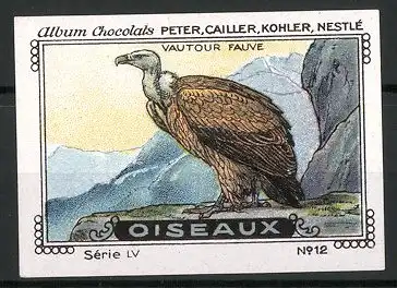 Reklamemarke Chocolats Peter, Cailler, Kohler & Nestlé, Serie LX, No. 12, Oiseaux, Vautour Fauve