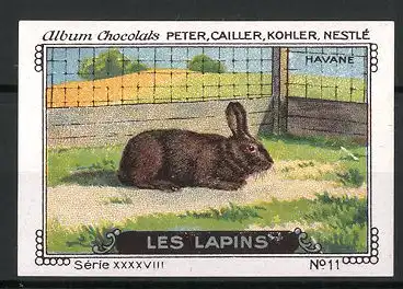 Reklamemarke Chocolats Peter, Cailler, Kohler & Nestlé, Serie XXXXVIII, No. 11, Les Lapins, Havane
