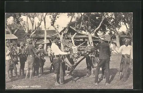 AK Indien, Karbouwen wedren, Büffelrennen