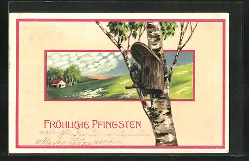 Künstler-AK Pfingstgruss, Vogelhaus an einer Birke mit Logiergast