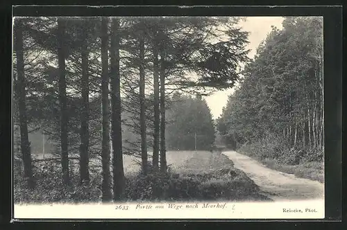 AK Augustendorf / Niedersachsen, Weg nach Moorhof