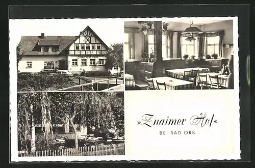 AK Bad Orb, Gasthaus Znaimer Hof, Innenansicht, Garten