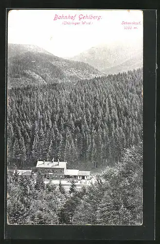 AK Gehlberg, Bahnhof im Thüringer Wald