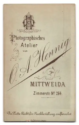 Fotografie O. A. Hennig, Mittweida i.S., Zimmerstrasse 264, bürgerlicher Herr mit Schnauzer