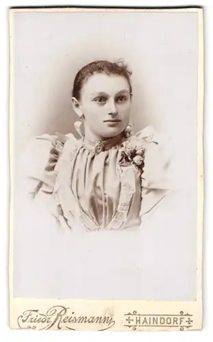 Fotografie Friedrich Reismann, Haindorf, junge Dame in Puffärmelkleid