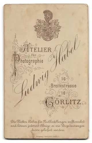 Fotografie Ludwig Habel, Görlitz, Breitestrasse 16, junges Fräulein im Puffärmelkleid