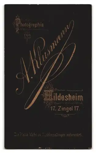 Fotografie A. Klusmann, Hildesheim, Zingel 17, Portrait bürgerliche Dame mit Fächer