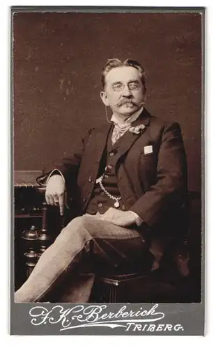 Fotografie J. K. Berberich, Triberg, Portrait bürgerlicher Herr mit Zwicker und Schnauzbart