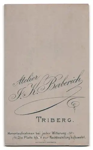 Fotografie J. K. Berberich, Triberg, Portrait bürgerlicher Herr mit Zwicker und Schnauzbart