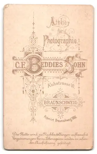 Fotografie C. F. Beddies & Sohn, Braunschweig, Kuhstrasse 10, Portrait junge Dame im Kleid mit Kragenbrosche