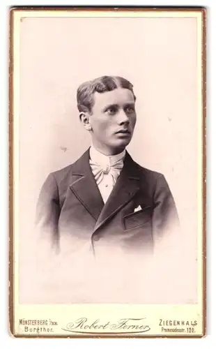 Fotografie Robert Ferner, Ziegenhals, Promenadenstrasse 120, Portrait junger Herr im Anzug mit Fliege