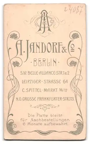 Fotografie A. Jandorf & Co, Berlin, Leipziger Strasse 64, Portrait Herr mit Schnauz und Kinnbart