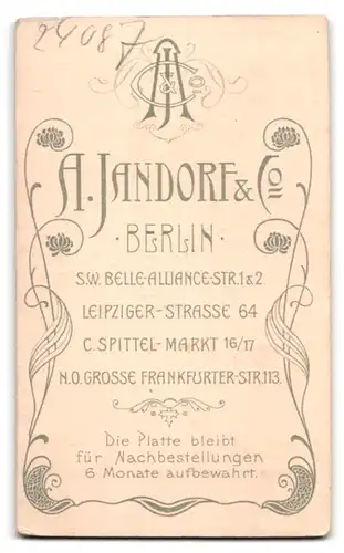 Fotografie A. Jandorf & Co, Berlin, Leipziger Strasse 64, gut gekleideter Herr mit Schnurr -und Kinnbart