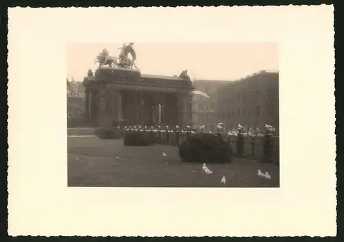 Fotografie unbekannter Fotograf, Ansicht Berlin, Möwen am Kaiser-Wilhelm-Nationaldenkmal