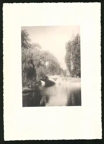 Fotografie unbekannter Fotograf, Ansicht Berlin, Partie im Tiergarten