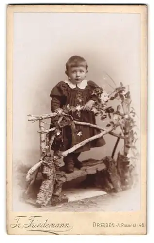 Fotografie Tr. Friedemann, Dresden-A., Rosenstr. 48, Portrait niedliches kleines Mädchen steht an einem kleinen Holzzaun