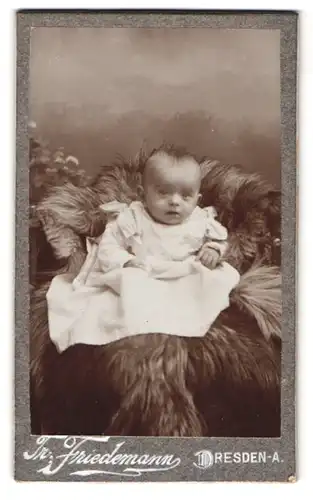 Fotografie Fr. Friedemann, Dresden-A., Rosenstr. 48, Portrait Baby im Kleidchen auf Fell posierend