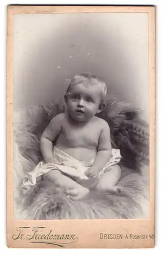 Fotografie Tr. Friedemann, Dresden-A., Rosenstr. 48, Portrait nacktes Baby auf Fell posierend