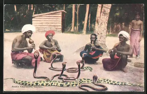 AK Sri Lanka, Snake Charmers, Schlangenbeschwörer