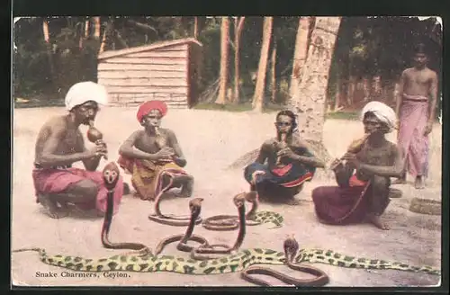 AK Sri Lanka, Snake Charmers, Vier Schlangenbeschwörer