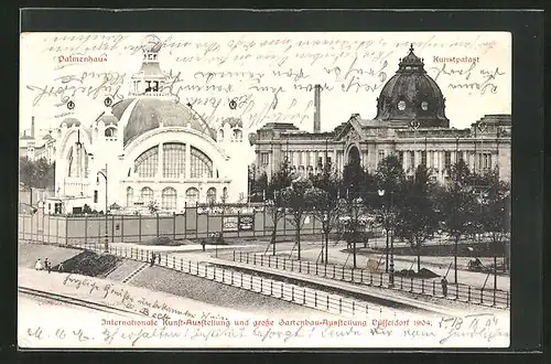 AK Düsseldorf, Internationale Kunst und grosse Gartenbau-Ausstellung 1904, Palmenhaus, Kunstpalast