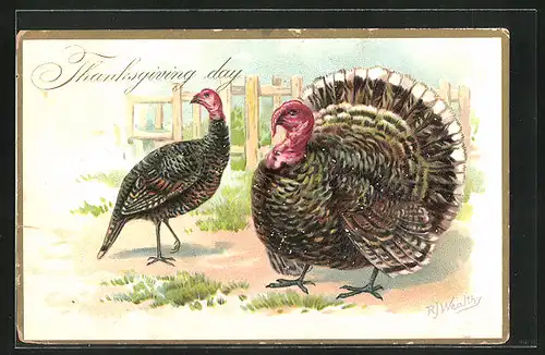 AK Thanksgiving, Truthahn mit seiner Henne