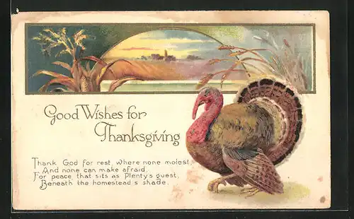 Präge-AK Good Wishes for Thanksgiving, Truthahn und Landschaftsbild